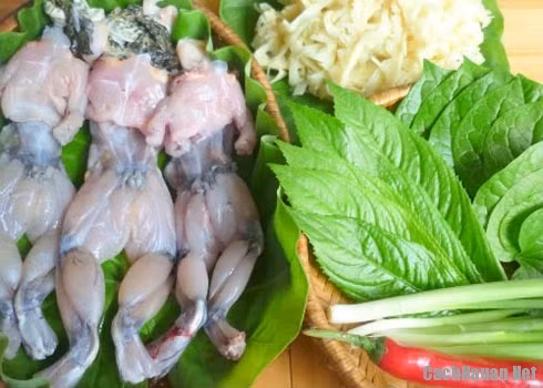 5. Lẩu ếch. Nguyên liệu: Giò sống, thịt lợn nạc, măng củ, đậu phụ, váng đậu, rau muống, lá lốt, mùi tàu, lá chanh, nấm hương, sả, tỏi, hành khô, gia vị: hạt tiêu, sa tế, ớt bột, me chua. Ninh xương lấy nước. Nêm gia vị vào nước dùng cho vừa ăn vào cho me chua vào cùng. Ảnh: cachnauan.net.