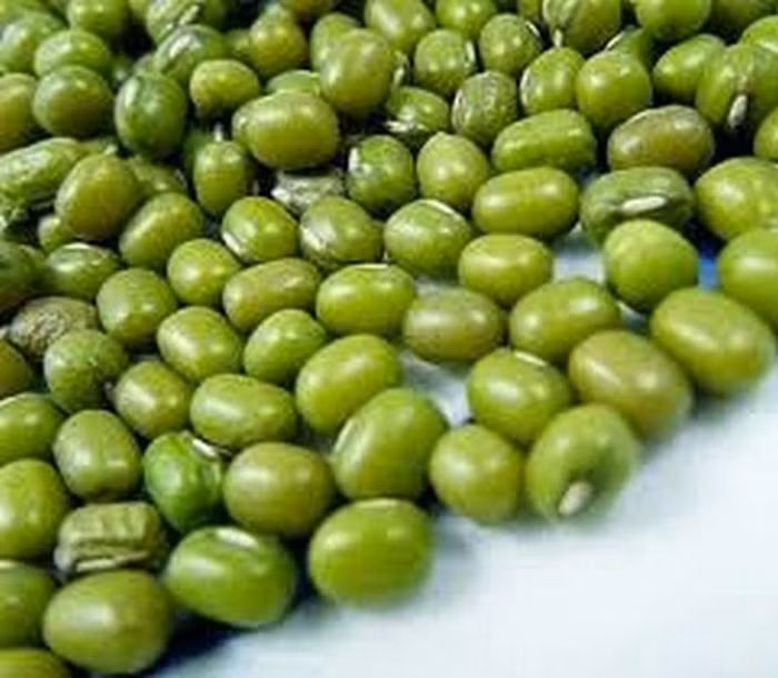 Vỏ đậu xanh hoặc đậu xanh cả vỏ 20-30g, rau om tươi 20g rửa sạch, quả dành dành 16g, kim ngân hoa 16g, rễ cỏ tranh 12g. Bài thuốc này nên sắc 2 lần. Sau đổ 600 ml nước sắc còn 200 ml, dồn lại với nước thứ nhất, cô lại còn 300 ml chia 2 lần uống trong ngày. Trẻ em tùy theo tuổi có thể dùng 1/2 liều. Dùng liên tục cho đến khi khỏi hẳn. Ảnh: Suckoemoingay.