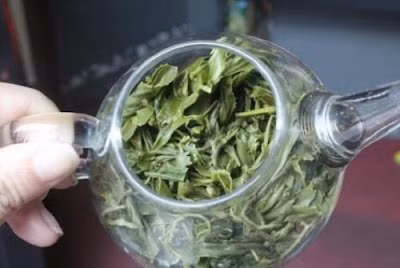 Ít người biết được rằng bã chè cũng đem lại những lợi ích thiết thực cho cuộc sống hàng ngày của chúng ta. Ảnh: mohoinachranhieu.blogspot.com.