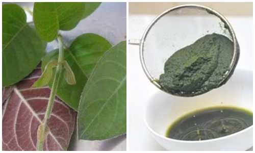 Rửa sạch tất cả nguyên liệu, cho vào nồi, đổ thêm khoảng 6 lít nước nấu sôi, canh sao cho lượng nước còn lại 1 lít, chắt lấy nước, chia thành ba lần uống trong ngày. Áp dụng trong vài ngày, bạn sẽ thấy ngay hiệu quả. Ảnh: ungthuvietnam.com. (Thông tin trong bài chỉ mang tính chất tham khảo, trước khi sử dụng bài thuốc, vui lòng hỏi ý kiến bác sĩ).