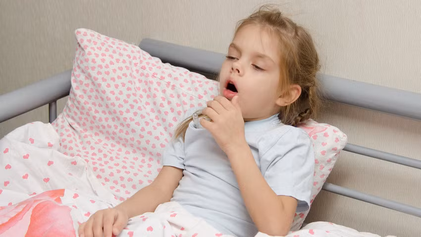 5. Trị ho gà. Nguyên liệu gồm 150g mỗi vị gồm lá mơ lông, cam thảo dây. Cỏ mần trầu, cỏ nhọ nồi, rễ chanh, bách hộ, rau má, mỗi vị thuốc cần 250g. Trần bì 100g kết hợp với 50g gừng và một chút đường kính. Ảnh: fakt.pl.