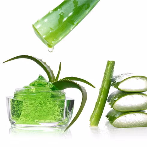 4. Dùng tinh chất nha đam. Các thành phần trong nha đam được chiết xuất thành phẩm cũng rất tốt để điều trị đau dạ dày. Không những làm giảm các cơn đau dạ dày nhanh chóng mà thành phần tự nhiên từ cây nha đam còn hỗ trợ tiêu hóa, cải thiện chức năng của dạ dày giúp bệnh nhân ăn ngon miệng hơn, xuất hiện cảm giác thèm ăn… Ảnh: nhommua.com.