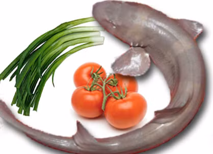  Cá nhám: Là loài cá có sụn cỡ vừa và lớn, sống ở biển có thể chế biến nhiều món ăn ngon. Lẩu chua sả nghệ cá nhám. Nguyên liệu: Cá nhám, sả, nghệ, gia vị, ớt, me, bạc hà, giá đỗ, cà chua, đậu bắp, bắp cải, măng tươi, rau ngò, bún, rau muống, nước mắm tươi. Cá rửa sạch, cắt cá từng khứa 1 - 1,5cm. Bắc nồi có sả, nghệ đập dập lên bếp, nồi cá sôi khoảng 5-10 phút. Ảnh: Landtourcondao.com.