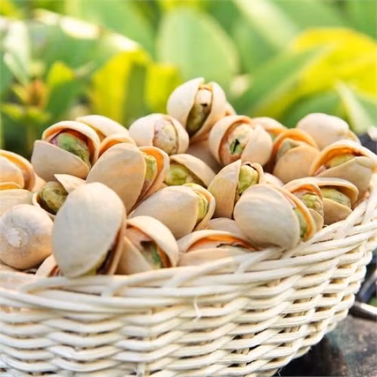 Đến khi hạt dẻ có mùi thơm và muối quện đều vào hạt dẻ là được. Lúc này việc cần làm là đổ hạt dẻ cười rang muối ra và để nguội là có thể thưởng thức rồi. Ảnh: kolala.vn.