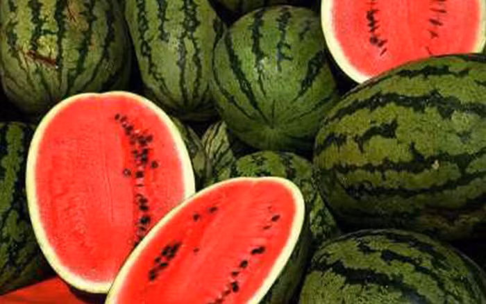 4. Dưa hấu: Cơ thể chúng ta luôn đòi hỏi nước và dưa hấu đáp ứng được điều đó. Loại quả này cũng là một vị thuốc lợi tiểu tuyệt vời hạn chế tối đa việc đầy bụng. Nó còn giúp khỏe cơ, cho chúng ta một hệ thần kinh khỏe mạnh. Bạn sẽ có một tinh thần sảng khoái, một đôi mắt sáng rõ vào sáng hôm sau nếu ăn loại quả này. Ảnh: soha.com.