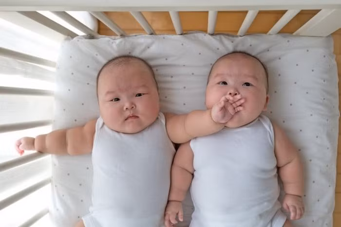 Cặp sinh đôi Leia và Lauren được biết đến là cặp song sinh nổi tiếng nhất thế giới với trang Instagram có hàng nghìn người theo dõi. Hiện nay, có thể gọi cặp đôi này là ngôi sao khi nhận được sự quan tâm từ lượng fan khổng lồ.