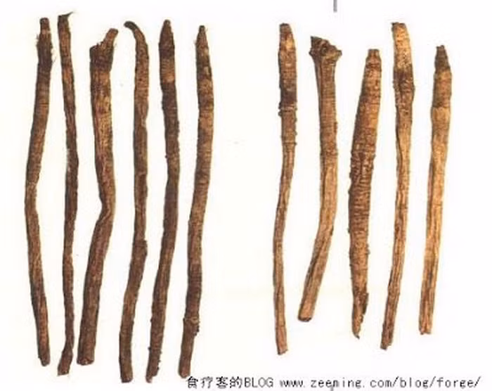 Chữa bệnh trĩ xuất huyết. Dùng hoa mào gà, phòng phong (tỷ lệ 1:1) tán thành bột mịn rồi trộn cùng bột gạo nước để làm thành viên bằng hạt đậu xanh. Ngày uống 2-3 lần khi đói bụng, mỗi lần 7-10 viên. (Ảnh phòng phong). Ảnh: Zeenine. Ảnh: Thiennguyen.