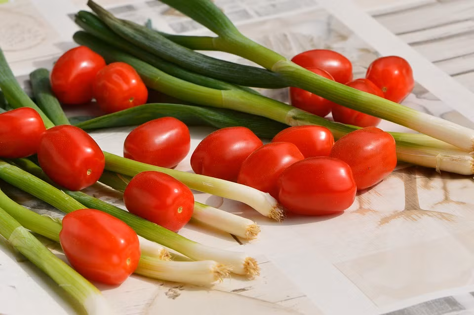 2. Chả mực sốt cà chua. Nguyên liệu: Chả mực, cà chua, thì là, hành, ớt, hồ tiêu, bột ngọt. Những nguyên liệu đã chuẩn bị cho vào rửa sạch sẽ: cà chua thái miếng, thì là, hành lá thái nhỏ. Sau đó cho cà chua vào 1 chảo khác dằm nhuyễn, cho thêm gia vị. Ảnh: pixabay.com.