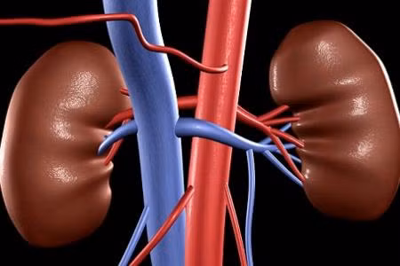 1. Chữa viêm thận: Lấy 50g râu ngô sắc lấy nước uống trong ngày liên tiếp trong khoảng 2 tuần sẽ có tác dụng tốt. Ảnh: caothaoduoc.com.