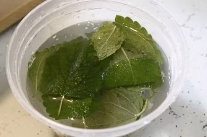 Trong quá trình tắm trắng bằng lá tía tô bạn không nên tiếp xúc với ánh nắng mặt trời để đảm bảo da không bị bắt nắng. Bạn cần kiên trì thực hiện cho đến khi có được làn da trắng mịn như mong muốn. Ảnh: Khoef.