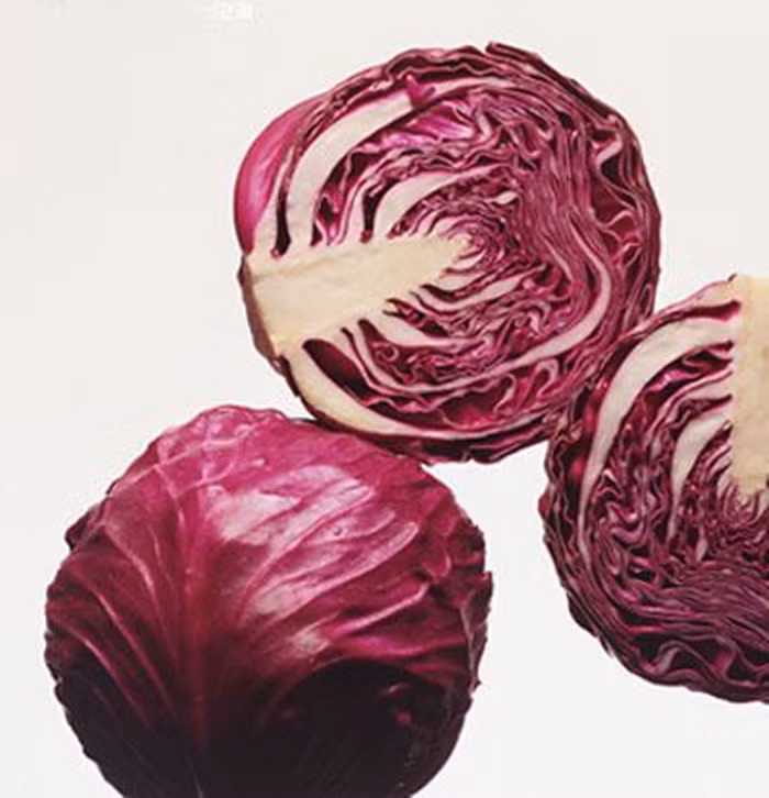 Chữa đau khớp, nhức tay chân, nổi hạch: Lấy lá bắp cải tím cán dập gân lá, hơ nóng rồi áp lên chỗ đau. Mỗi chỗ đau đắp 3 - 4 miếng lá cải bắp, bên ngoài dùng vải dày áp lên rồi cột lại. Ảnh: thucphamngon.