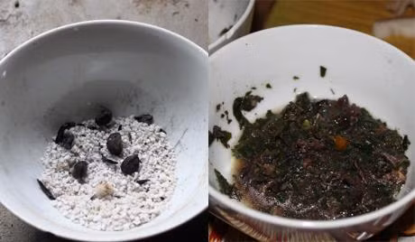 2. Hạt dổi trộn muối: Hạt dổi nướng trên bếp than hồng sau đó nghiền nhỏ trộn đều với muối rang vàng hoặc bột canh, vậy là đã có một đĩa nước chấm rất ngon, món này hợp với các món thịt luộc như: Gà, ngan, vịt, thịt luộc, lòng phèo… Ảnh: rungvangtaybac.com.