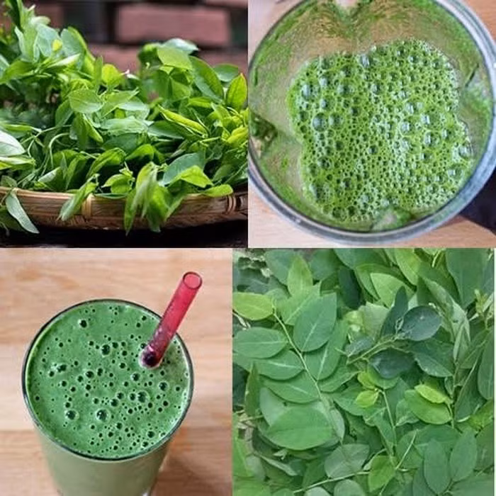 Rau ngót. Cách thực hiện rất đơn giản bạn chỉ cần giã rau ngót ra sau đó trộn với 1 ít nước ép gừng, dùng một chiếc khăn rồi vắt lấy nước thoa đều lên da mặt, chăm chỉ thực hiện hàng ngày. Bạn cũng có thể dùng nước sinh tố rau ngót sống để uống hàng ngày. Ảnh: Adiva.