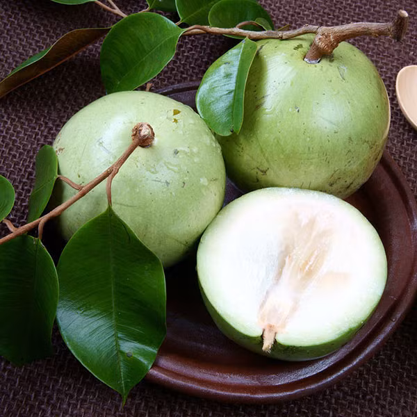 2. Giảm cân. Bạn có thể chế biến vú sữa thành sinh tố hay nấu chè đều mang đến tác dụng làm đẹp da và giảm cân mà không làm ảnh hưởng đến sức khỏe. Ảnh: Canthotv.vn.