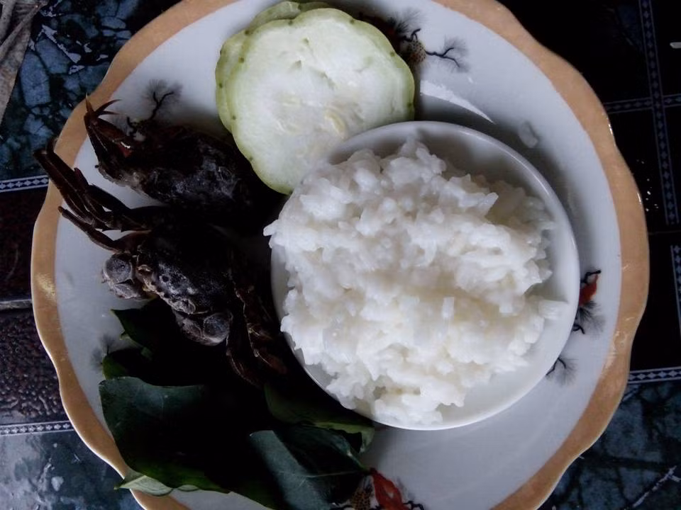 8. Cháo cà ra nấu rau ngót, mướp: Cà ra lấy riêng gạch, giã lọc lấy nước cốt. Phi thơm hành, cho nước cà ra vào đun rồi bỏ gạch vào. Rau ngót, mướp luộc qua rồi xay nhuyễn. Cho nước cà ra và rau vào cháo trắng. Đun sôi rồi tắt bếp. Thêm dầu oliu. Các món ăn cho bé dưới 12 tháng không nên nêm gia vị sẽ làm hại thận bé. Ảnh: FB Sao Pha Lê.