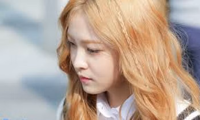 Ép nước chanh lấy nước cốt, trộn với củ khoai tây đã nghiền nát rồi cho thêm trà hoa cúc vào tạo thành hỗn hợp sền sệt. Tóc sau khi đã làm ướt, ủ hỗn hợp này rồi massage nhẹ nhàng trong 5 phút, rồi rửa lại bình thường. Ảnh: Openhair.