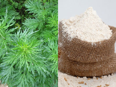 Dùng cám rang lá cúc tần (có thể thay bằng ngải cứu): Dùng vải màn hoặc khăn mùi xoa sạch túm chỗ lá vừa rang lại để đánh cảm. Đánh nhanh tay từ đỉnh đầu xuống, sau đó đánh ở mặt, ngực, bụng, mông, chân, tay... sau đó kết thúc đánh ở lòng bàn tay, bàn chân. Ảnh: yhoccongdong.com.