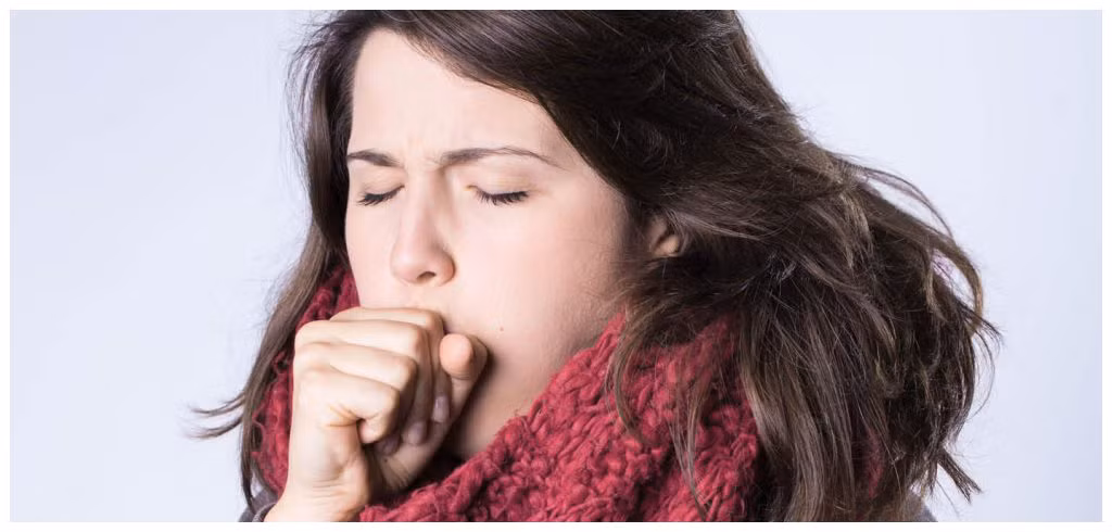 3. Thuốc bổ, chữa ho có đờm, ho do lao và hen: Hoa quỳnh mới nở để tươi, thái nhỏ, hấp với mật ong hoặc nấu với trứng gà ăn nóng trong ngày. Người lớn 2 - 3 hoa, trẻ em 1- 2 hoa. Ảnh: hotos.vn.