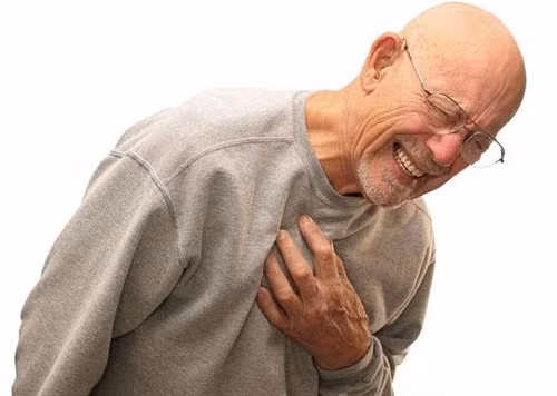 9. Vai, lưng, đau nhức, tức ngực khó thở, người mệt: Lấy 2 - 3 bông hoa quỳnh ninh với 400g phổi lợn. Ảnh: http: ohoiochua.com. (Thông tin trong bài chỉ mang tính chất tham khảo, trước khi sử dụng bài thuốc, vui lòng hỏi ý kiến bác sĩ).