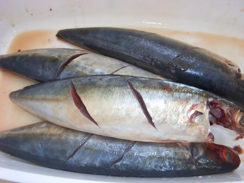 2. Cá nục một nắng: Cắt đầu, moi ruột sạch, cắt vây bụng và vây lưng sâu một chút, bóc bỏ da, rửa thật sạch nhớt ở bụng. Pha nước muối loãng giống như làm cà pháo, đổ cá đã làm sạch vào ngâm 15 phút. Ảnh: meovatvietnam.com.