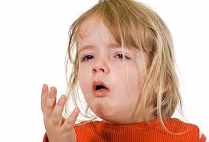 Quả la hán chữa ho gà. Dùng 1 quả la hán, 1 quả mứt hồng. Hai vị này thái lát, đập vụn, thêm nước nấu sắc ngày 1 lần. Ảnh: Benh9.