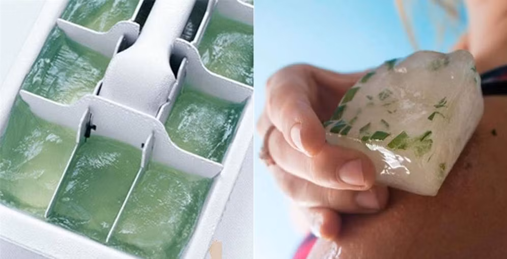 Rửa mặt thật sạch. Tiếp đó lấy khăn xô bọc 1 viên rau mùi đông đá rồi chà nhẹ lên da theo chiều kim đồng hồ. Khi nào nguyên liệu tan ra hết thì dừng lại. Kiên trì 2 tuần, mỗi ngày 1 lần vào các buổi tối trước khi đi ngủ để cảm nhận sự thay đổi một cách rõ rệt. Ảnh: kenhphunu.com.