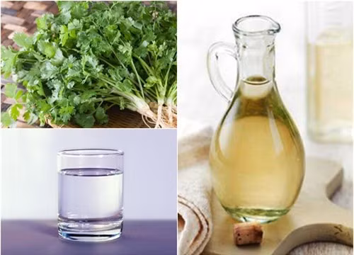 5. Rau mùi kết hợp với giấm trắng: Rau mùi xắt nhỏ và giã nát. Pha loãng dấm trắng với nước và cho rau mùi vào ngâm trong 15 phút. Chắt lấy nước rau mùi và giấm để riêng ra 1 cái chén khác, bỏ bã. Ảnh: meotritannhang.com.