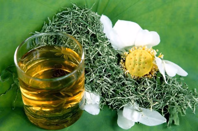 Theo Đông y, lá sen có vị đắng chát, tính bình, là một vị thuốc quý. Sau đây là 7 bài thuốc trị bệnh từ lá sen khô cực hay không phải ai cũng biết. Ảnh: tinnong.net.vn.