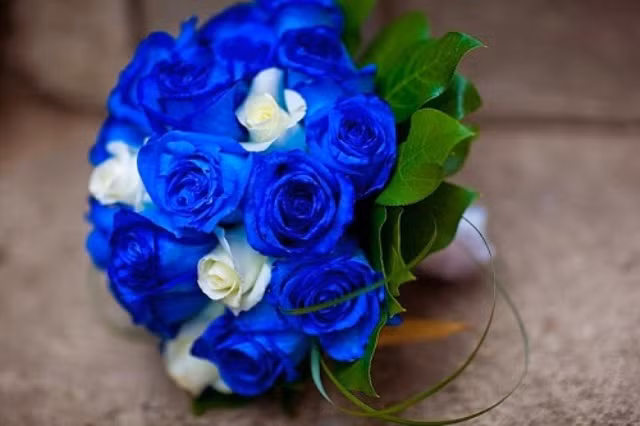 Nang se suong ren ca ngay neu duoc tang qua nay dip 8/3