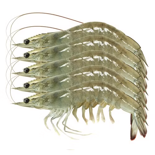 3. Củ cải trắng xào tôm. Nguyên liệu: Củ cải trắng, tôm nõn, hành, ngò rí, muối, nước mắm, hạt nêm, hạt tiêu xanh, dầu ăn. Tôm nõn giã nhuyễn cùng hạt tiêu và củ hành trắng, ướp gia vị: muối, nước mắm, hạt nêm. Củ cải cắt lát mỏng. Ảnh: .bimfoods.com.