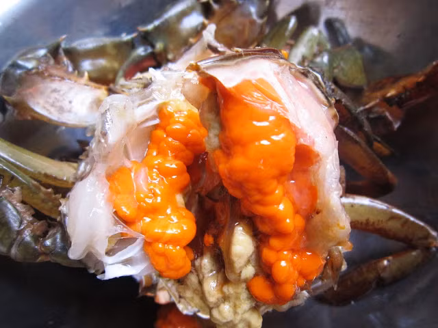 2. Món bún riêu cua. Nguyên liệu: Cua, gạch cua, cà chua, chanh (quất), rau sống ăn kèm (hoa chuối, tía tô, xà lách) gia vị muối, mì chính, đậu phụ, bún. Cua ngâm nước từ 1 đến 2 tiếng cho sạch hết đất cát rồi rửa lại sạch, bóc mai để ráo nước. Gạch cua để riêng ra bát. Cho phần thịt cua vào máy xay, xay nhuyễn, sau đó lọc qua rây để lấy nước cua. Thêm chút muối vào nước lọc cua hòa nhẹ rồi đặt lên bếp đun vừa lửa. Khi thấy gạch cua đông thì nhẹ nhàng vớt gạch cua ra, để riêng trong bát. Ảnh: vaobepnauan.com.