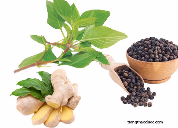 Gừng, hồ tiêu. Nguyên liệu gồm 10g gừng, 10g tiêu đen tán nhỏ và hòa cùng uống với nước sôi. Chia làm hai lần uống hết trong ngày. Bài thuốc từ hồ tiêu này làm ấm bụng và giảm đau dạ dày. Ảnh: Trangthaoduoc.