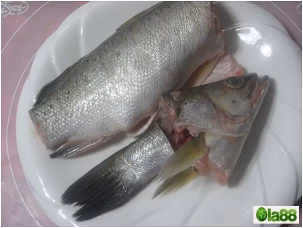 6. Gỏi cá vược. Nguyên liệu: Cá vược, bột chanh, gừng, hành tây, rau sống, dưa leo, xoài xanh, thính, gia vị, tỏi, ớt, bánh tráng, đậu phộng. Cá vược phi lê cắt hạt lựu. Pha một ít nước cốt từ Bột Chanh Knorr, rưới lên cá để tái sơ. Ảnh: ola88.com.