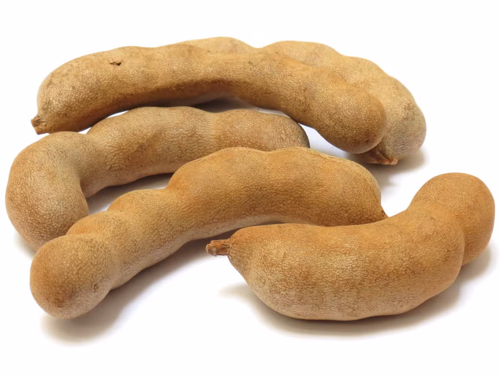 4. Quả me. Trị chứng hay chảy máu chân răng: 3 – 5g thịt từ quả me chín pha với một chén nước ấm uống trong ngày, uống vào buổi sáng sau bữa ăn. Dùng liên tục trong 7 ngày. Ảnh: Thanh Niên.