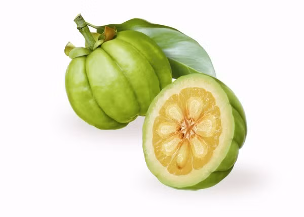 3. Quả bứa. Trị viêm dạ dày ruột, kém tiêu hóa: Vỏ cây bứa sắc đặc cô đặc lấy 50%, hàng ngày uống 30ml. Ảnh: An Trà.