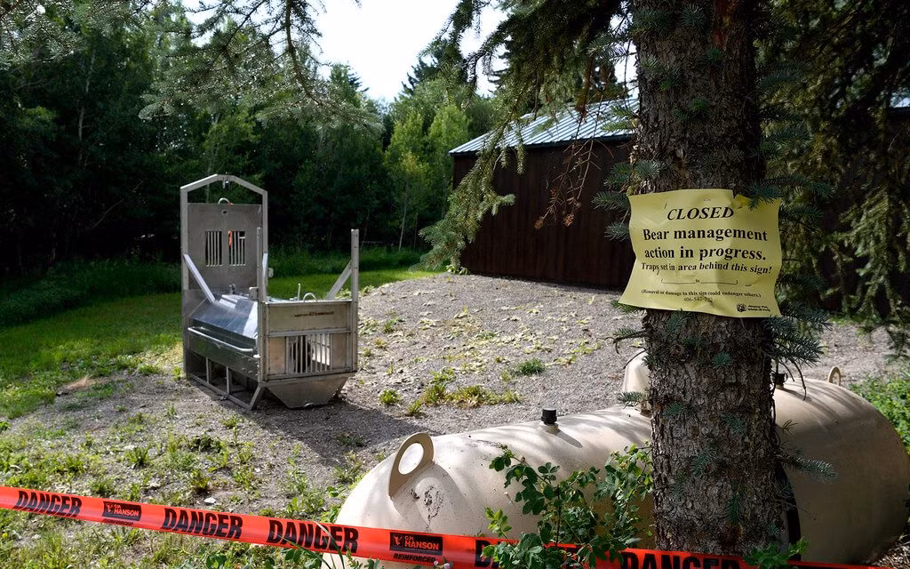 Gau xam vo chet nguoi trong leu trai gay soc