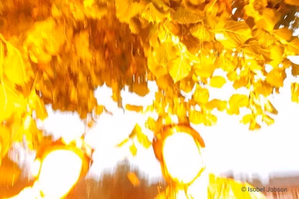 Khoanh khac hai hung set danh trung khien 3 chi em nga guc