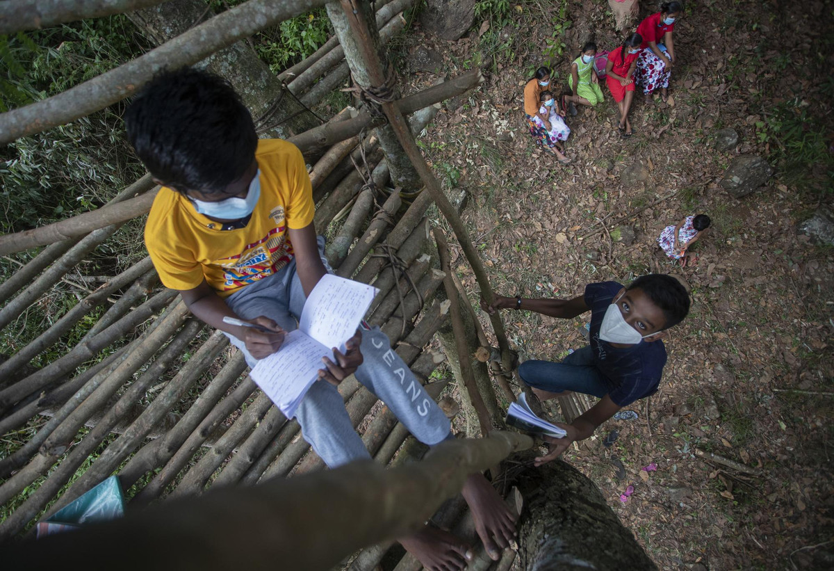 Ảnh: Học sinh ngôi làng xa xôi học trực tuyến...trên cây thời COVID-19 - Hình 3 Anh: Hoc sinh ngoi lang xa xoi hoc truc tuyen...tren cay thoi COVID-19-Hinh-3