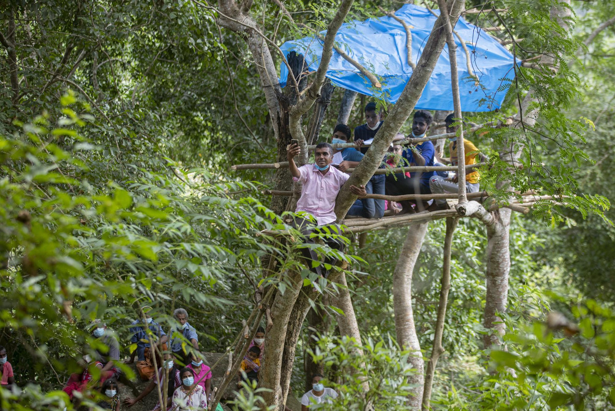 Ảnh: Học sinh ngôi làng xa xôi học trực tuyến...trên cây thời COVID-19 - Hình 5 Anh: Hoc sinh ngoi lang xa xoi hoc truc tuyen...tren cay thoi COVID-19-Hinh-5