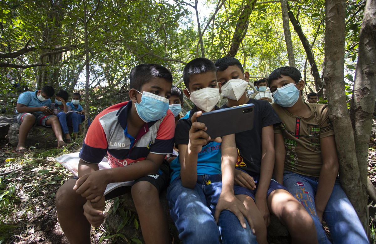 Ảnh: Học sinh ngôi làng xa xôi học trực tuyến...trên cây thời COVID-19 - Hình 2 Anh: Hoc sinh ngoi lang xa xoi hoc truc tuyen...tren cay thoi COVID-19-Hinh-2