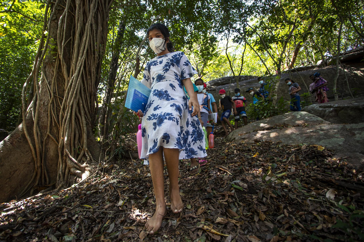 Ảnh: Học sinh ngôi làng xa xôi học trực tuyến...trên cây thời COVID-19 - Hình 9 Anh: Hoc sinh ngoi lang xa xoi hoc truc tuyen...tren cay thoi COVID-19-Hinh-9