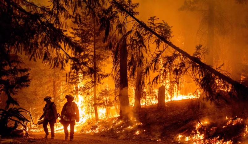 Canh chay rung tham khoc “nuot chung” loat ngoi nha o My-Hinh-5