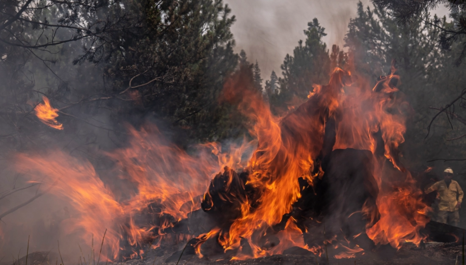 Canh chay rung tham khoc “nuot chung” loat ngoi nha o My-Hinh-9