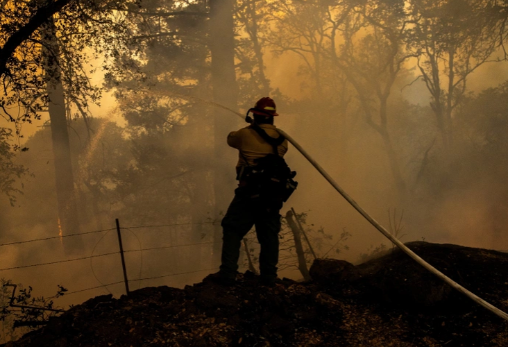 Thống đốc California Gavin Newsom đã ban bố tình trạng khẩn cấp đối với bốn quận phía bắc vì các vụ cháy rừng mà ông cho rằng đang gây ra “các điều kiện cực kỳ nguy hiểm cho sự an toàn của con người và tài sản”.