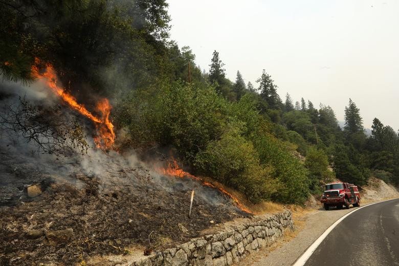 Lực lượng cứu hỏa đi dập lửa tại khu vực rừng quốc gia Plumas hôm 18/7.