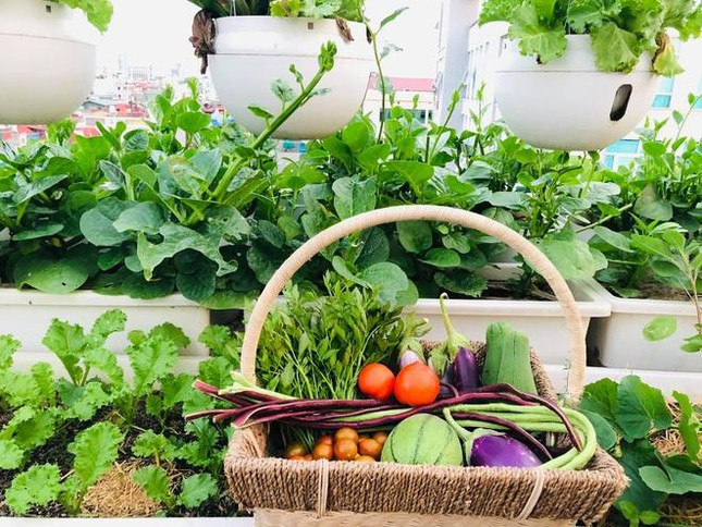 Cach thiet ke vuon rau san thuong don gian lai dep mat-Hinh-8