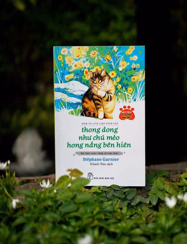  Thong dong như chú mèo hong nắng bên hiên. Mèo luôn tự do tự tại. Chúng điềm tĩnh, quan sát, khôn ngoan, yểu điệu, duyên dáng và kiêu hãnh. Trong cuốn sách này, Stéphane Garnier cho thấy những cách có thể áp dụng bí quyết của loài mèo vào công việc, ở nhà và với bạn bè mình.