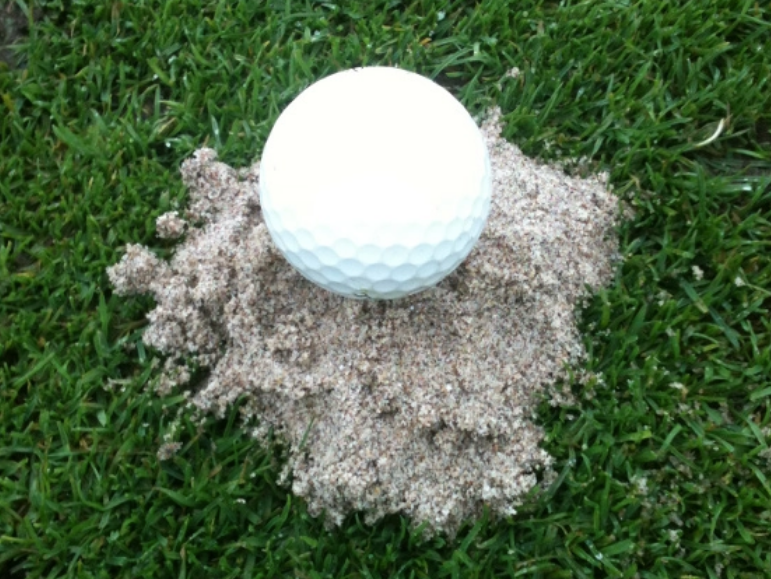 “Cha de” cua tee go la mot bac si nha khoa-Hinh-2