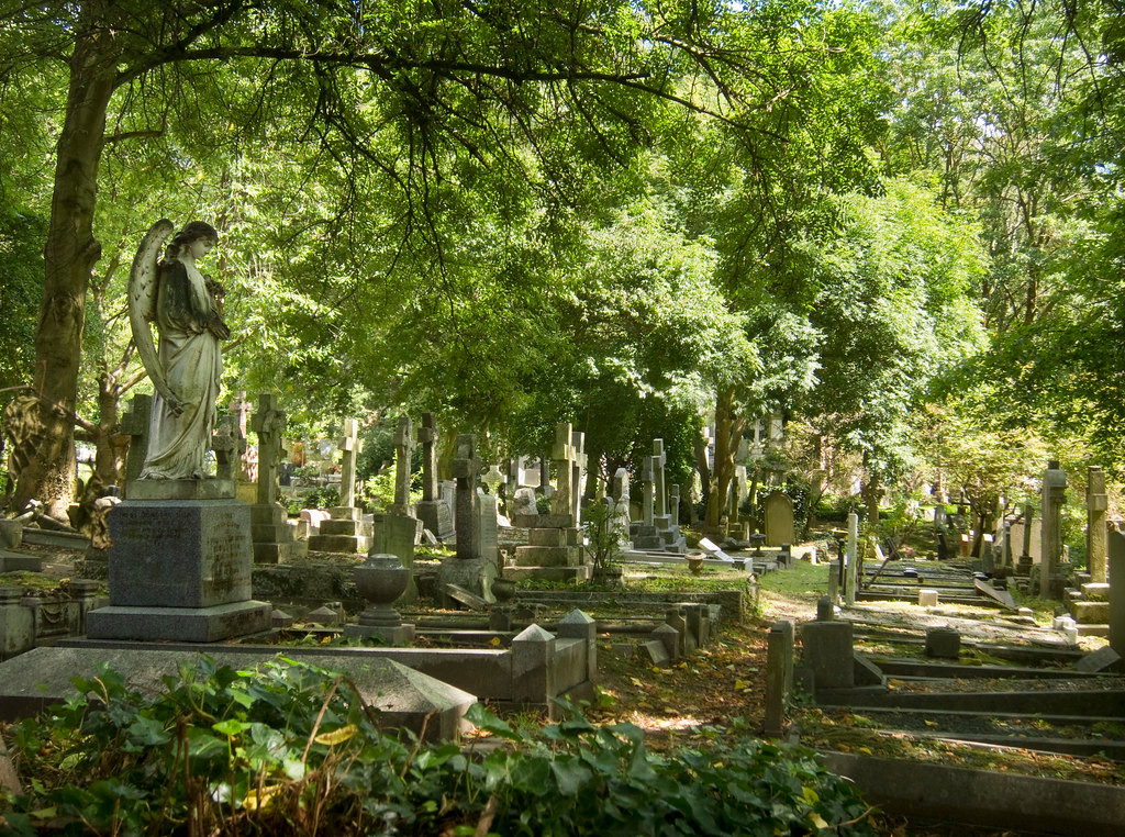 Đến nay, các nhà khoa học chưa tìm được bằng chứng về ma cà rồng có thật nhưng những câu chuyện về nó luôn thu hút sự quan tâm của nhiều người.