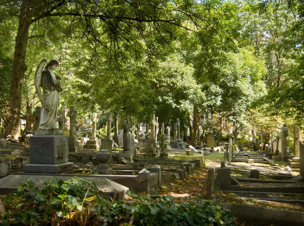 Đến nay, các nhà khoa học chưa tìm được bằng chứng về ma cà rồng có thật nhưng những câu chuyện về nó luôn thu hút sự quan tâm của nhiều người.